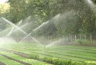 Chisholm NSWlandscaping-water-management-and-drainage-17.jpg; ?>